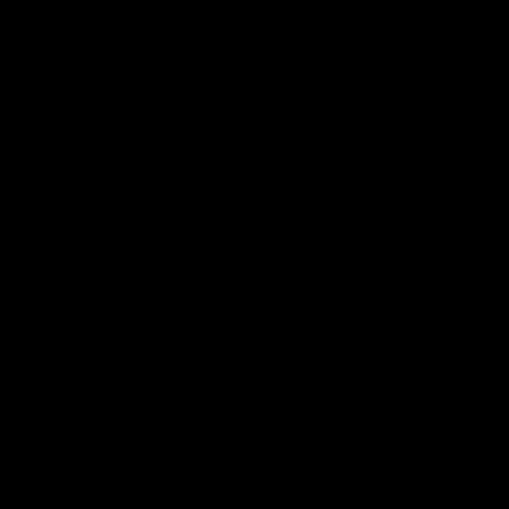 Meet your Posher, Missy